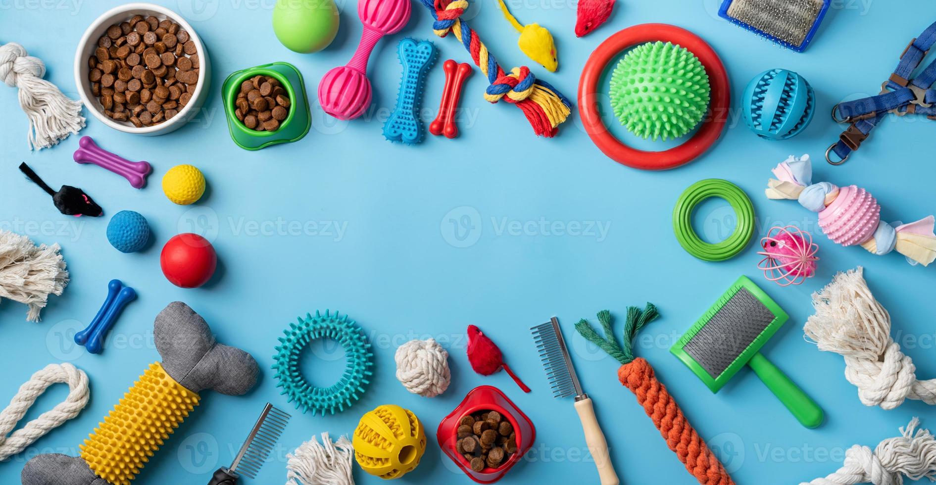 Unique pet accessories including colorful toys, grooming brushes, and treats arranged on a blue background